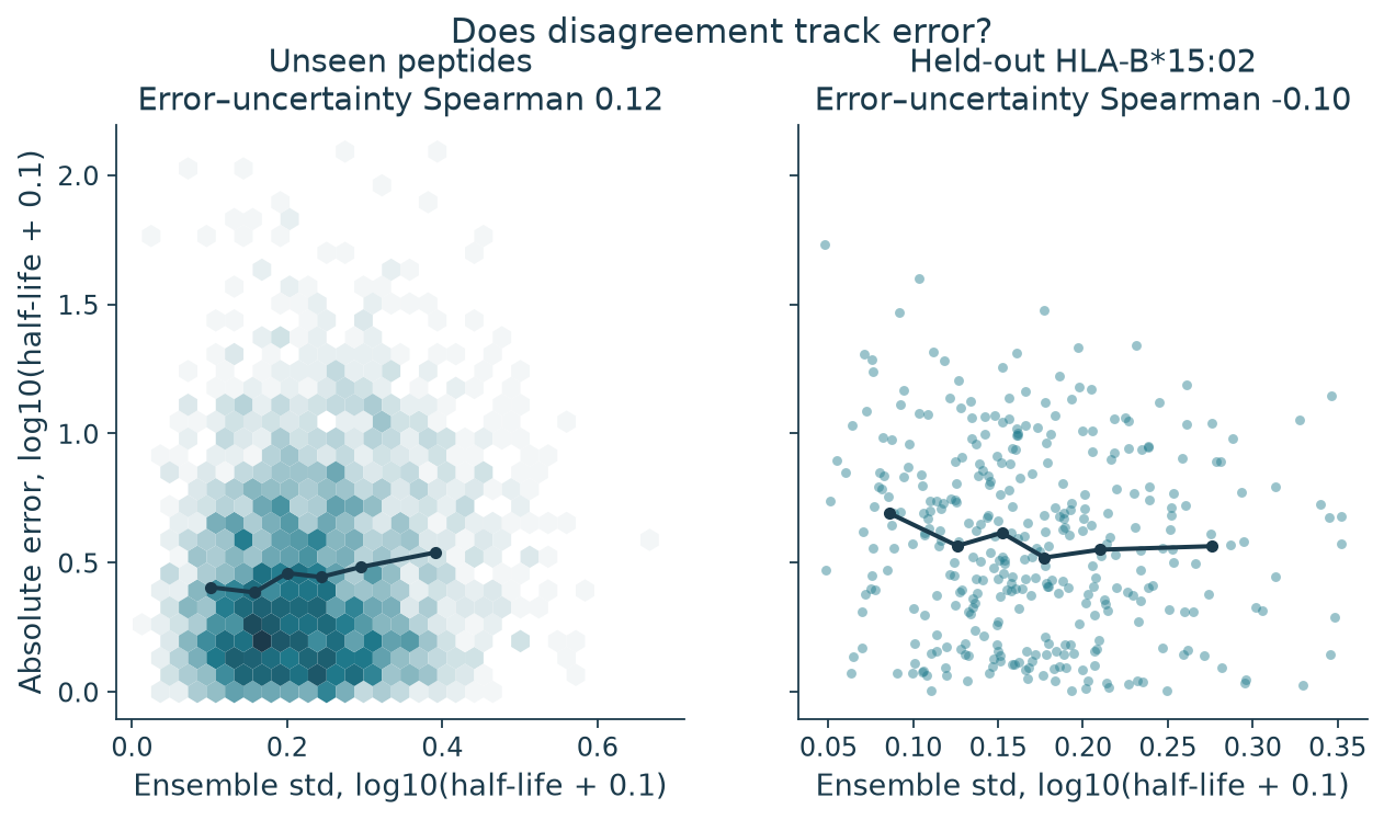 Two scatter plots of ensemble spread against absolute error: Spearman 0.12 on unseen peptides and minus 0.10 on held-out HLA-B*15:02.